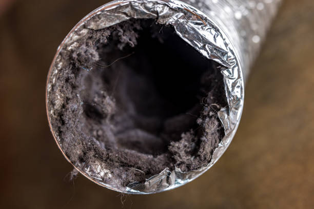 Best Local Air Duct Cleaning Services  in Keshena, WI